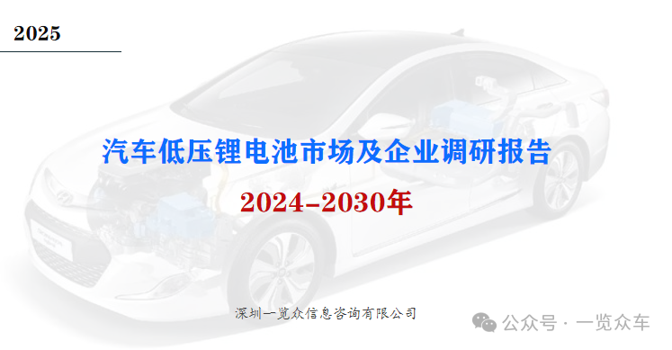 2024-2030年汽车低压锂电池市场及企业调研报告